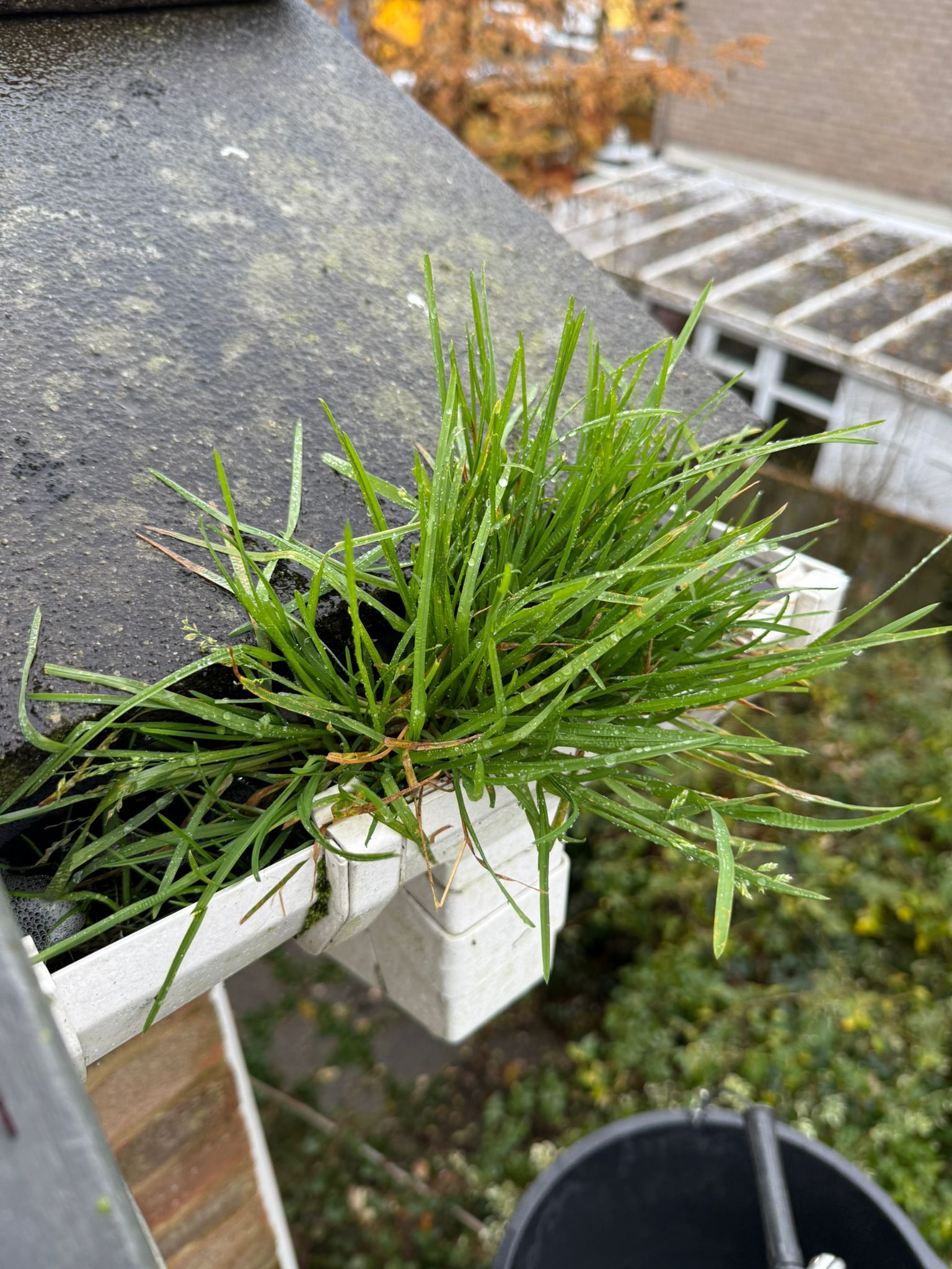 Blocked gutter downpipe  - Newnham Gutter Clearance is the solution!